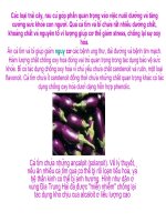 Công dụng của các loại rau + quả