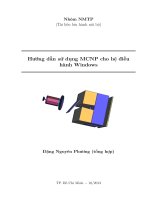 Hướng dẫn sử dụng chương trình MCNP phiên bản 1.1