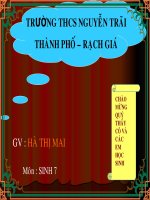 Bai 12 MOT SO GIUN DEP KHAC