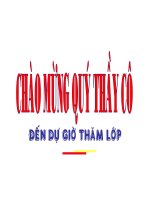 Giáo án tham khảo bồi dưỡng thao giảng Anh 6 Unit 4 Big or small  (34)