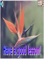 Giáo án tham khảo bồi dưỡng thao giảng, thi GV Anh 6 Unit 5 Things I do (1)