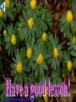 Giáo án điện tử tham khảo thao giảng tiếng anh 6 Unit 3 At home  (33)