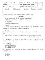 Đề KT Giữa kì II - Môn T.Việt  lớp 2 (2010 - 2011)