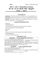 Giao an Mi thuat 9 nam 2010-2011