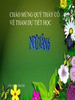 Slide Bài giảngCây bút thần