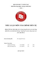 Tiểu luận môn Tài chính tiền tệ Chiến lược thâm nhập của các công ty đa quốc gia vào các nước đang phát triển và các hình thức thủ đoạn “chuyển giá” của các công ty này ở các nước nhận đầu tư