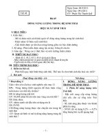 Bài 45 - DÒNG NĂNG LƯỢNG TRONG HST VÀ HIỆU SUẤT SINH THÁI