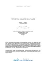 One Decade Inflation Targetting In The World Frederic S.Mishkin 2001