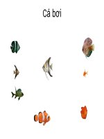 Ảnh động (Cá bơi)