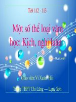 Mot so the loai trong van hoc