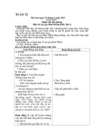 Đạo đức dành cho địa phương - Tuần 33