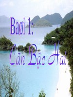 Giáo án tham khảo bồi dưỡng thao giảng Đại số 9 Bài Căn thức bậc hai (5)