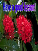 Giáo án tham khảo bồi dưỡng thao giảng Anh 6 Unit 4 Big or small  (2)