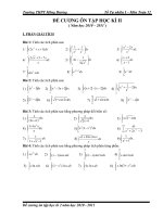 Đề cương ôn tập học kì 2 môn Toán(rất hót)