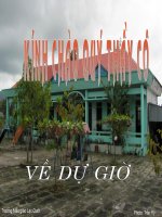 CHINH TA 3 (Tuan 16)