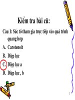 Bài 9: Quang hợp ở thực vật