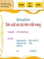 TỔNG HỢP XÚC TÁC TRÊN CHẤT MANG