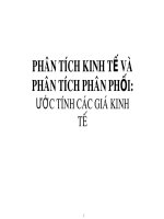 Phân tích kinh tế và phân tích phân khối- Ước tính các giá kinh tế