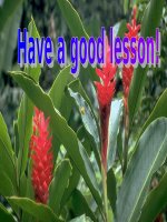 Giáo án điện tử tham khảo thao giảng tiếng anh 6 Unit 3 At home  (29)