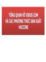 Tổng quan về virus cúm và các phương thức sản xuất vaccine