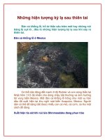 Những hiện tượng kì lạ sau thiên tai