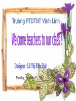 Giáo án tham khảo bồi dưỡng thao giảng Anh 6 Unit 4 Big or small  (11)