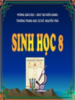 Bai 30 VE SINH TIEU HOA