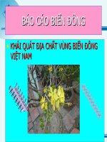 Khái quát địa chất vùng Biển Đông Việt Nam