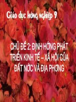 chủ dề: Định hướng phát triển KTXH của đất nước và địa phương