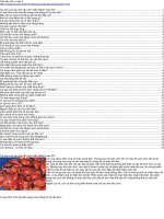 10000 cau hoi va tra loi 2