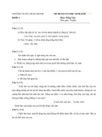 KS HSG T.Việt 4 - Tháng 3