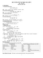 Đề  cương ôn tập HKI (10-11)