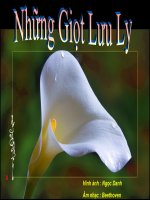 Những giọt lưu ly