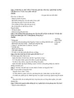 DE CUONG ON TAP SU 7 KI 2