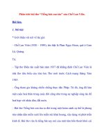 Phân tích bài thơ “Tiếng hát con tàu” của Chế Lan Viên.