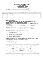 de thi hoc sinh gio lop 5