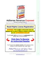 AdSense Revenue Exposed