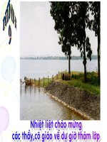 Bài giảng đại số 9 Bài Căn bậc hai và hằng đẳng thức căn bậc hai của a bình phương (8)