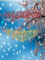 Giáo án tham khảo bồi dưỡng thao giảng Anh 6 Unit 4 Big or small  (5)