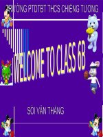 Giáo án tham khảo bồi dưỡng thao giảng Anh 6 Unit 4 Big or small  (3)