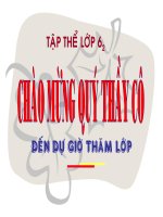 Giáo án tham khảo bồi dưỡng thao giảng Anh 6 Unit 4 Big or small  (10)