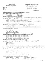 đề thi tin học 11_ hk2