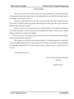 Hoàn thiện triển khai chiến lược phát triển thị trường của Công ty Cổ phần công nghệ thông tin và truyền thông_Tecapro