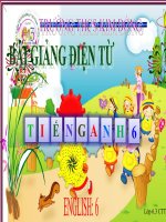 Bài giảng tham khảo thao giảng Anh 6 Unit 16 Man and the environment (7)