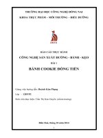 CÔNG NGHỆ sản XUẤT BÁNH COOKIE ĐỒNG TIỀN