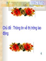 Chủ đề: Thông tin thị trường lao động