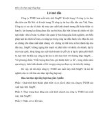 luận văn quản trị kinh doanh Thực trạng hoạt động sản xuất kinh doanh của công ty TNHH sản xuất máy tính SingPC