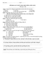 Đề ôn tập TV lơp 5 ( cuói HK II)