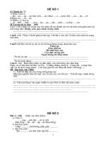 20 Đề thi HSG Tiếng Việt  lớp 2 2011