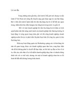 luận văn quản trị kinh doanh phân tích kết quả hoạt động kinh doanh của công ty TNHH thương binh sông hồng trong 3 năm 2001 2003